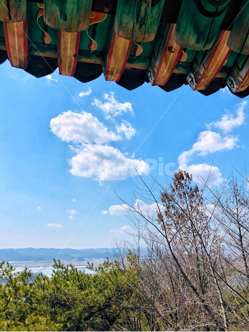 nature,자연,outdoors,옥외,하늘,구름,나무,풍경