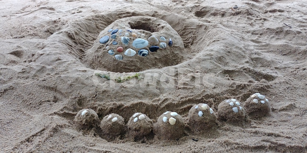 모래놀이,해변,해수욕장,조개껍데기,모래성,바다모래,바다조개,beach,sea