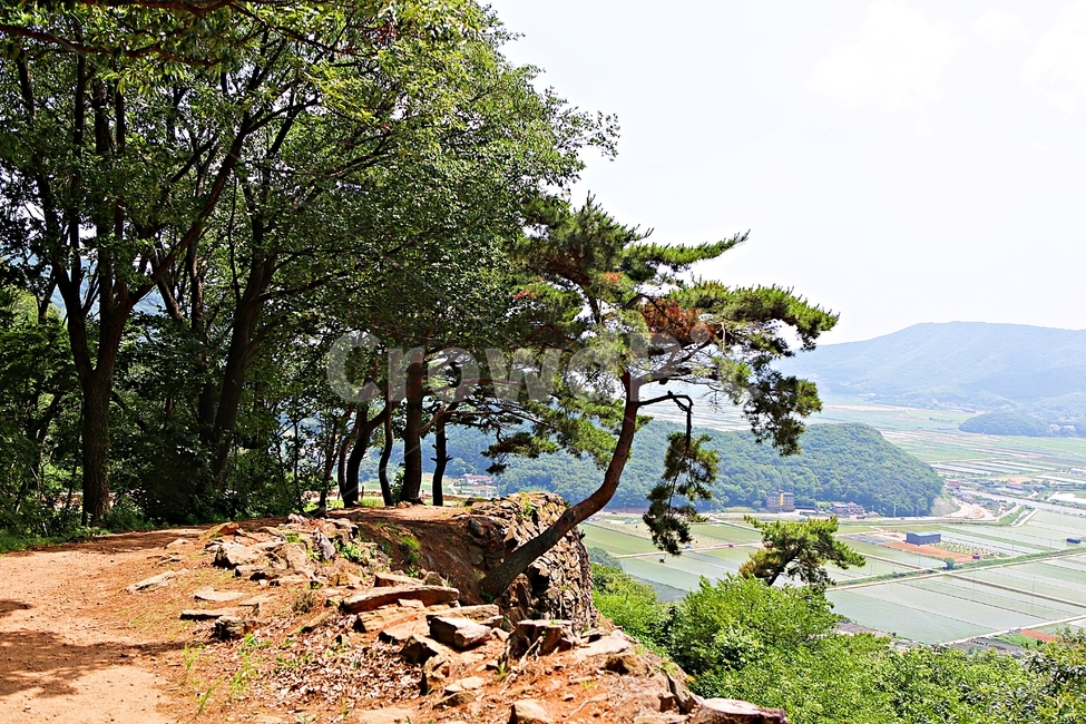 전등사,전등사둘레길,길,돌담,성곽,풍경