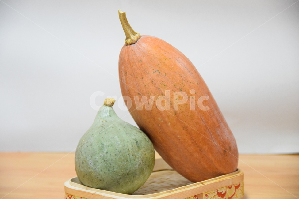 호박,긴호박,동그란호박,늙은호박,호박꼭지,수확,pumpkin,oldpumpkin