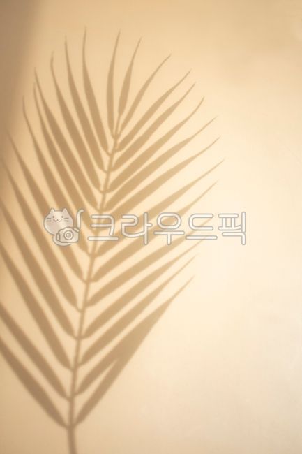 hundred,shadow,beauty,bush,pattern,frond,sun,summer,White space,Modern,gold,palm tree,radial,tropical country,fluttering,leaves,design,copy space,stripe,advertisement,art,green,natural,shape,nature,texture,tree,emptied,abstract,leaf,beige,tropical,pointed