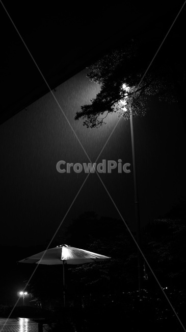 비,야경,가로등,비오는날,울적,흑백,모노톤,monochrome,black and white