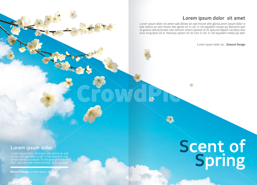 하늘,구름,매화,꽃,꽃잎,나무,텍스트박스,말상자,표지,전단지,브로슈어,카달로그,비즈니스,봄,계절,spring,season,비즈니스,사업,business,service,work,그래픽,일러스트레이션,graphic,illustration,nature,자연,advertisement,광고,poster,포스터,outdoors,옥외