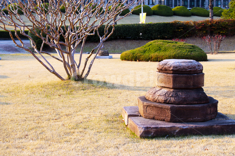 석탑,공원,대구,경북대,경북대학교,산격동,캠퍼스,대학교