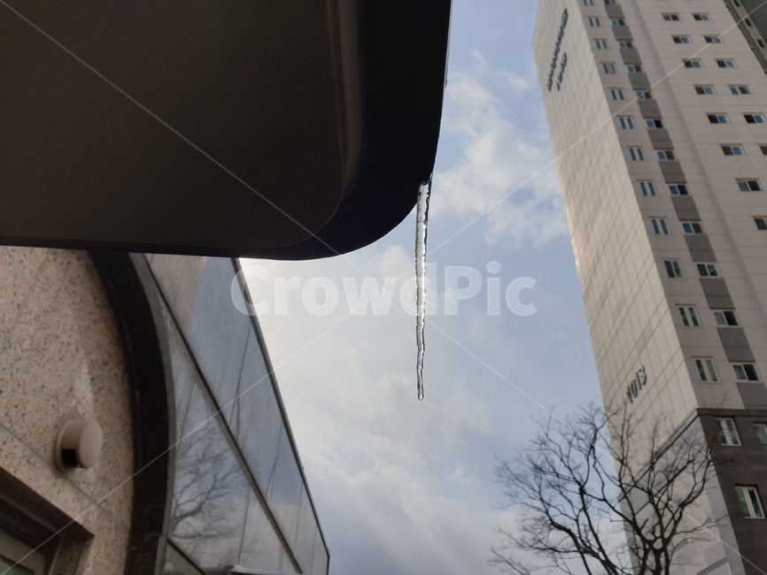 고드름,겨울,추위,얼음,한파