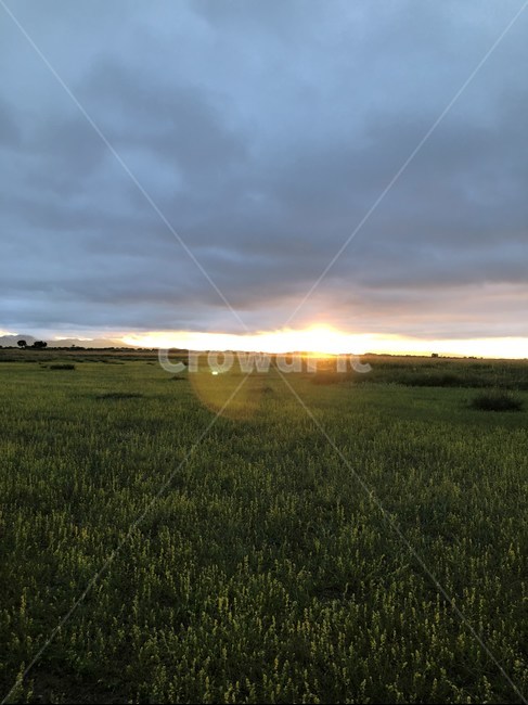 햇빛,자연,풍경,햇살,구름,자연,풍경,nature,landscape,field,들,grassland,목초지,outdoors,옥외,grass,잔디,plant,식물