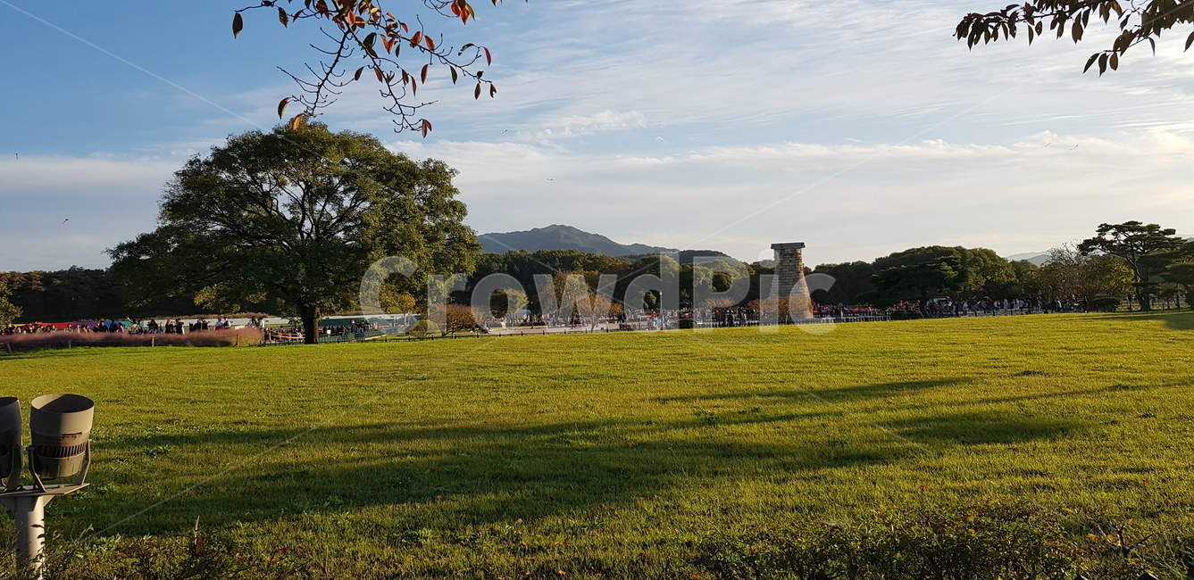 첨성대,경주,역사,자연,경치,풍경,날씨,맑음,하늘,잔디