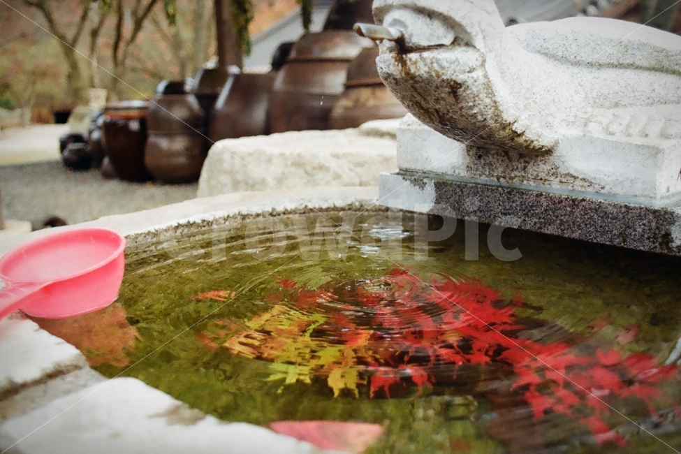 약수,약수터,가을,낙엽,등산,가을,계절,fall,autumn,season,한국전통,한국문화,korean traditional,korean culture,휴식,힐링,rest,relaxation,healing,plant,식물,leaf,잎