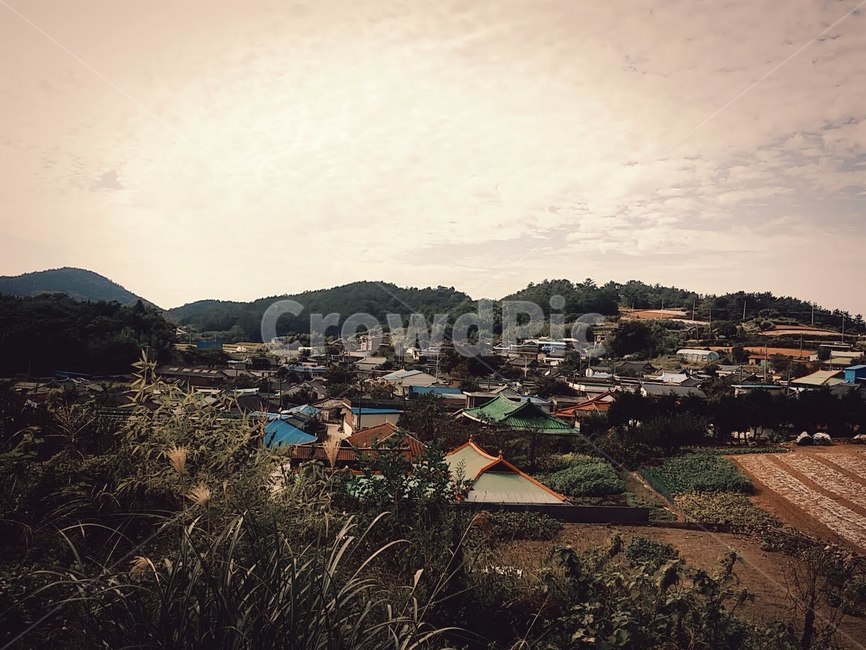 시골,시골길,하늘,풍경,자연,시골,마을,풍경,landscape,country,rural,town