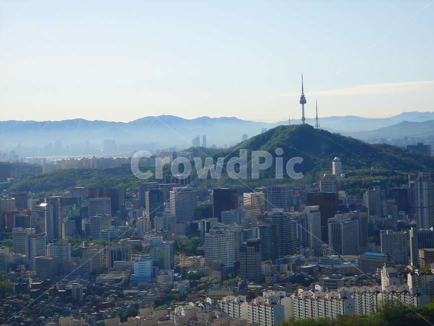 도시,전경,남산,도심,하늘