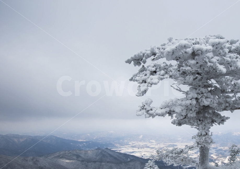 덕유산,겨울,흰눈,정상,상고대,겨울,계절,winter,season,자연,풍경,nature,landscape,한국자연풍경,한국자연경관,korea nature landscape,식물,plants,나무,trees,wood,outdoors,옥외,ice,얼음