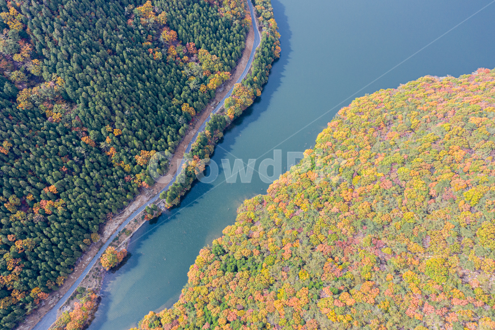 outdoors,nature,aerialview,조감도,자연,옥외,landscape,scenery,풍경,경치,드론,드론샷,드론촬영,drone,단풍,가을,저수지