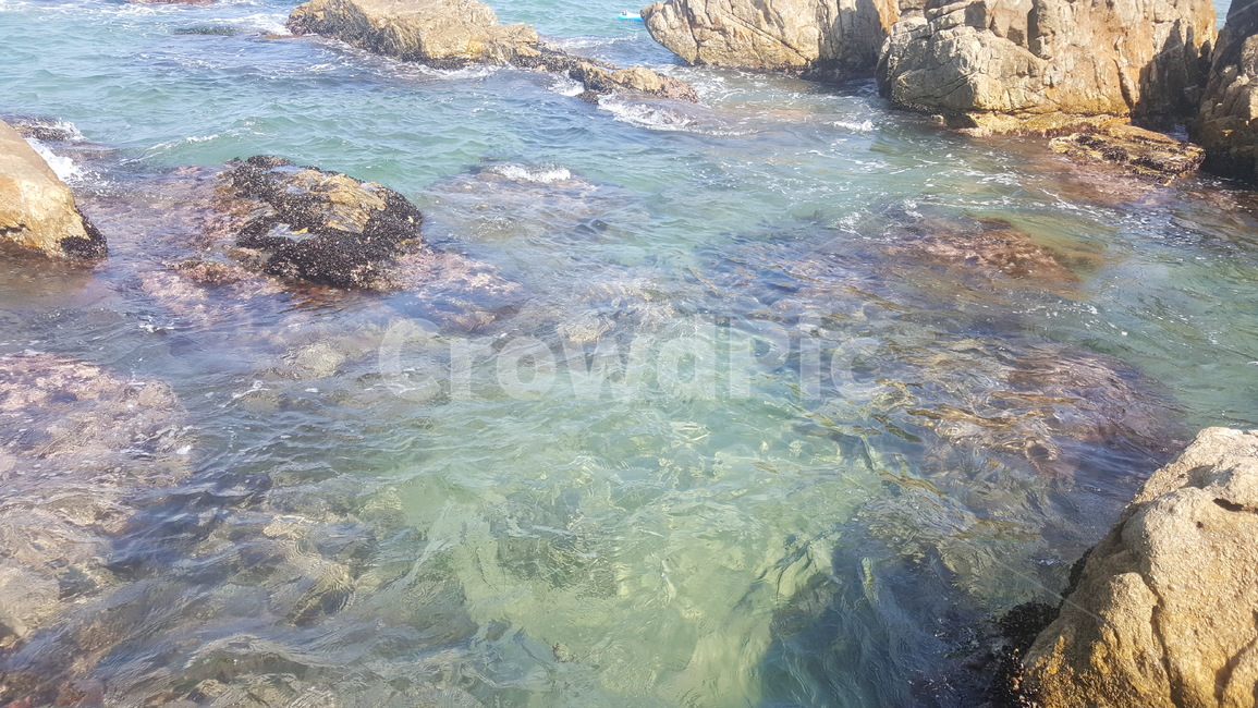 물속,바위사이,바위,바다,자연,풍경,nature,sea,ocean,rock,자연,풍경,nature,landscape,promontory,곶,대양,water,물,outdoors,옥외,록