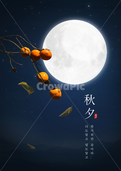 달,감,단감,나뭇잎,가을,전통,명절,추석,한가위,중추절,가을,계절,fall,autumn,season,야경,밤,풍경,nightscape,night,landscape,그래픽,일러스트레이션,graphic,illustration,nature,자연,outdoors,옥외