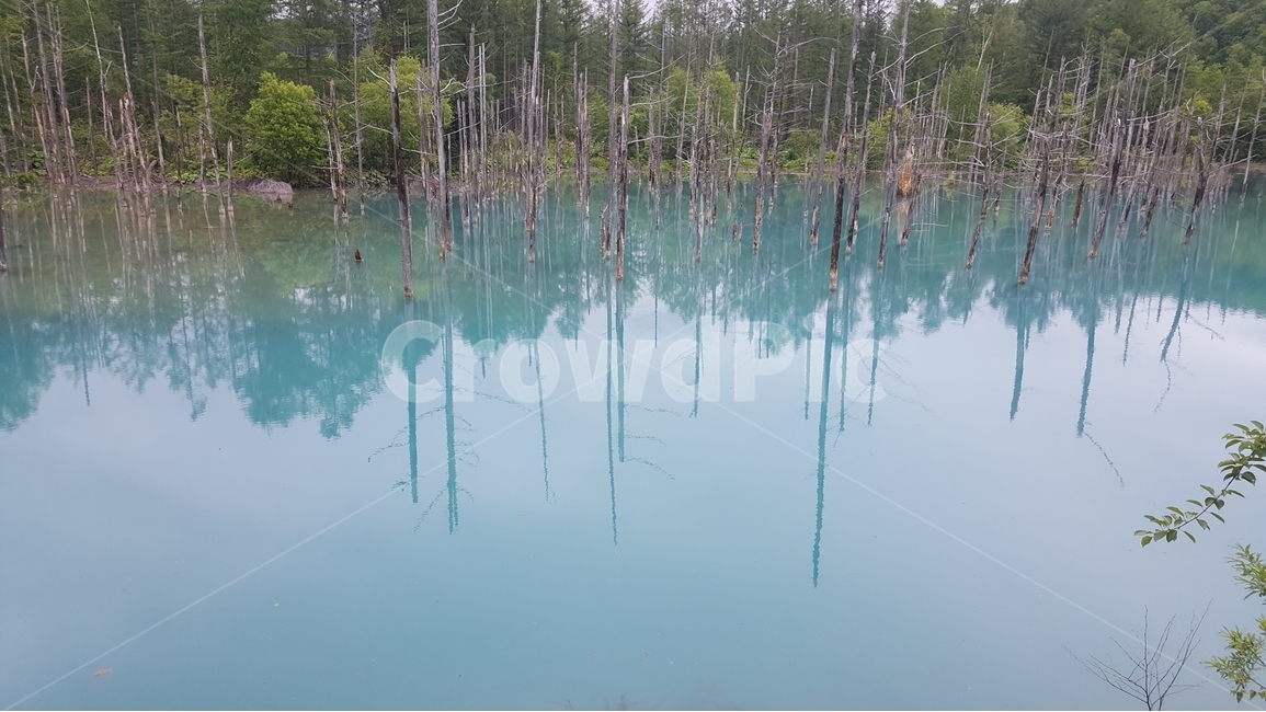 삿포르,삿뽀르,홋카이도,청의호수,일본,폭포,경관,자연,비경,자연,풍경,nature,landscape,해외,외국,세계,foreign,oversea,world,세계자연풍경,해외자연풍경,외국자연풍경,world nature landscape,outdoors,옥외,land,땅,water,물