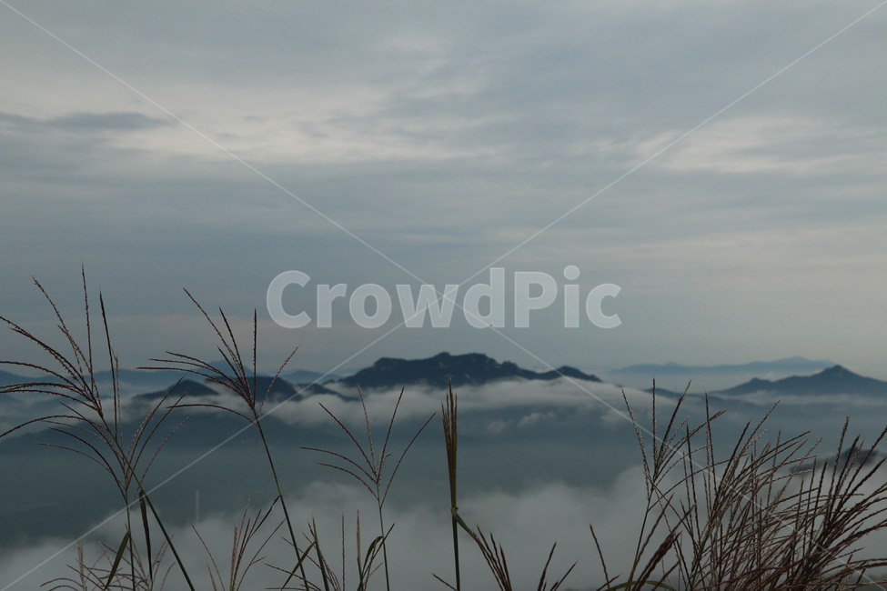 수락산,사패산,운무,구름,비,자연,풍경,nature,landscape,한국자연풍경,한국자연경관,korea nature landscape,grass,잔디,plant,식물