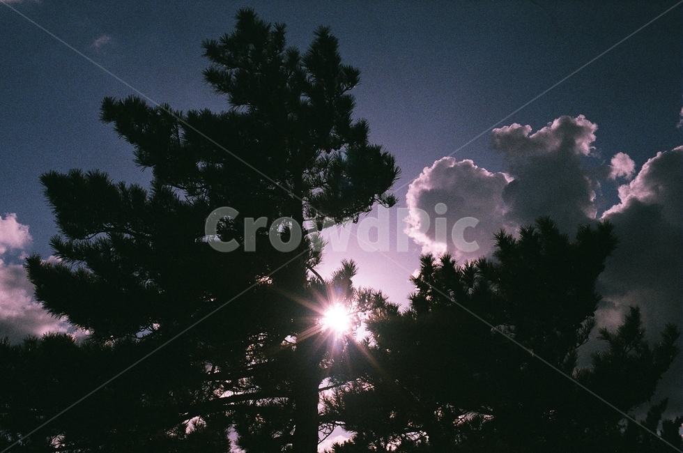햇살,나무,필름,구름,하늘,해,빛,빈티지,필름사진,감성,자연,풍경,nature,landscape,light,flare,플레어