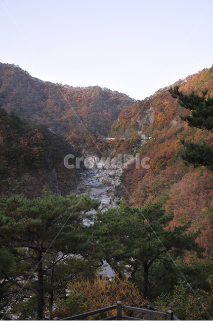불영사,불영사계곡,가을,단풍,자연,nature,mountain,산,가을불영사,가을불영사계곡