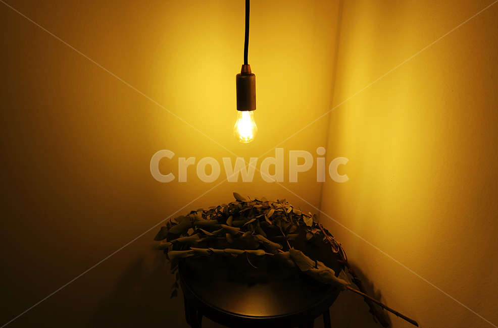 전구,은은함,불빛,나무,나뭇잎,인테리어,공간,카페,힐링,여유,의자,tree,interior,light,sensibility
