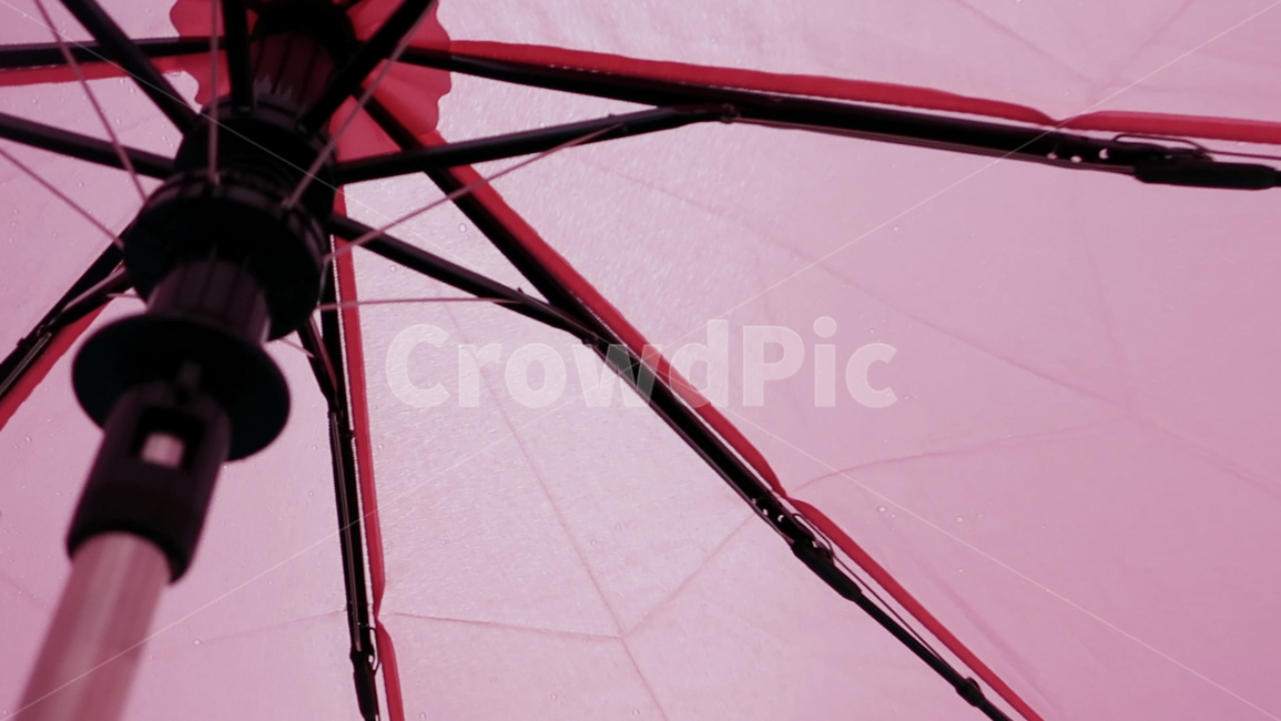 umbrella,우산,canopy,천개,비오는날,rain,rainy,핑크우산,pink,pinkumbrella,비,비오는날,rain,rainy