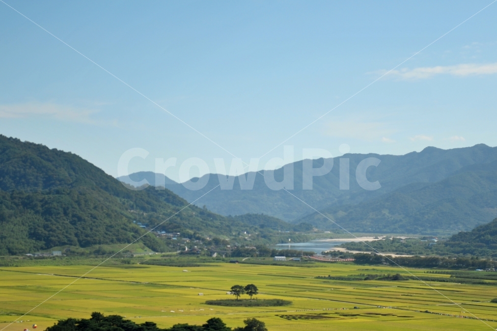 하동,최참판,부부송,논,박경리소설,자연,풍경,nature,landscape,한국자연풍경,한국자연경관,korea nature landscape,시골,마을,country,rural,town,outdoors,옥외,grassland,목초지,field,들