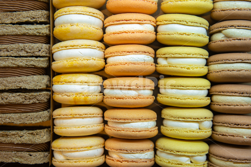 macaron,마카롱,간식,쿠키,디저트,케이크,프랑스디저트,과자,snack,color,설탕,사탕,음식,food,meal,dessert,음식,식재료,요리,food,cook,meal,dishes,food reserves,디저트,간식,후식,dessert,snack
