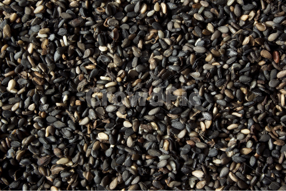 closeup,dry,dummy,food,grain,macro,meal,natural,nature,organic,plant,seed,seeds,sesame,sesameseed,sesameseeds,top,topangle,topview,깨,참깨,곡식,곡류,음식,음식재료,식재료,식물,씨앗,씨,말린,말리는,건조,자연,클로즈업,탑앵글,탑뷰,깨소금,농작물,농촌,농사,검정,블랙,검은색,black,검은깨,곡류,곡식,cereals
