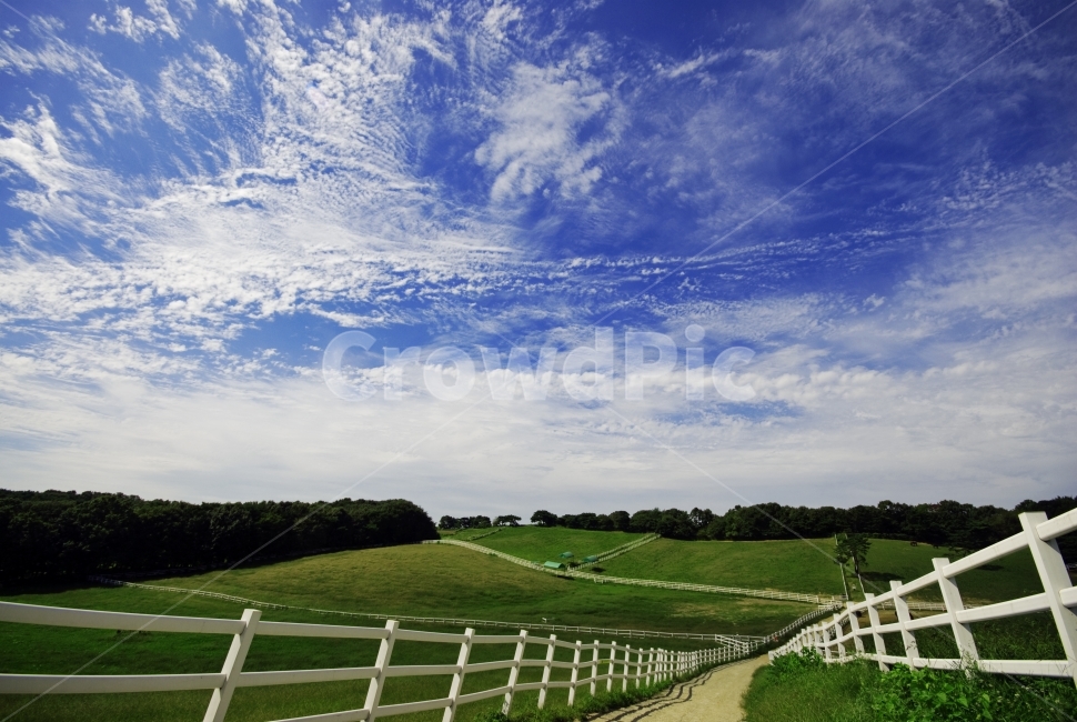 초원,풀,나무,울타리,하늘,구름,푸른하늘,광각,풍경,view,light,landscape,sky,자연,풍경,nature,landscape,outdoors,옥외,field,들,grassland,목초지,farm,농장,rural,농촌