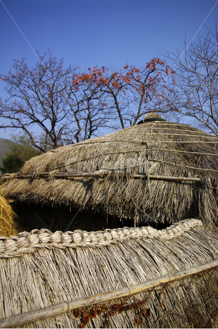 초가지붕,전통가옥,한국,초가집,집,마을,한국전통,한국문화,korean traditional,korean culture,건축물,건물외관,exterior,building,structure,architecture,construction