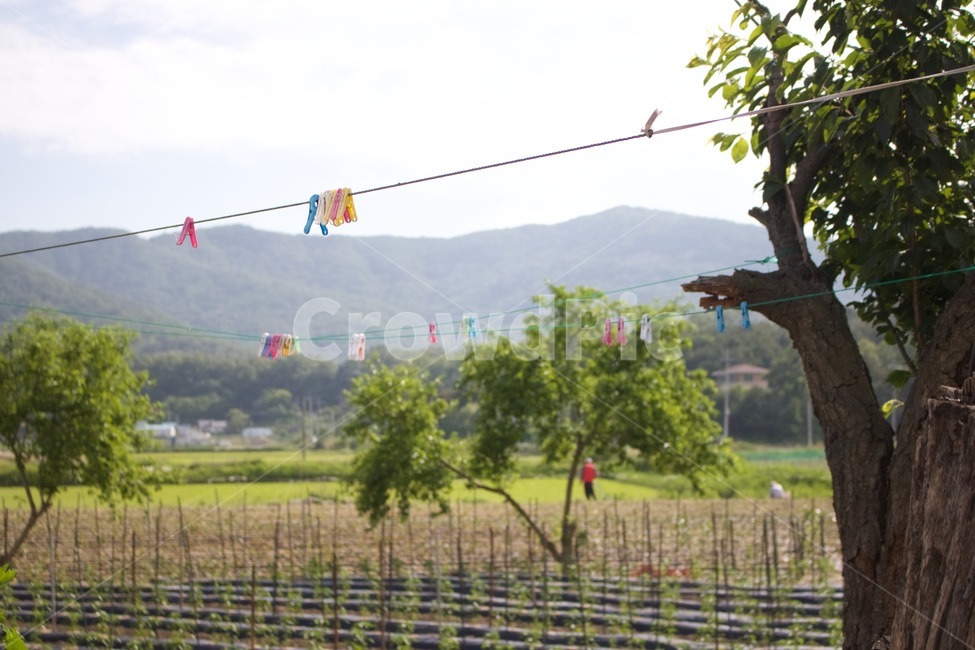 시골,전원,자연,빨래집게,마당,시골,마을,풍경,landscape,country,rural,town