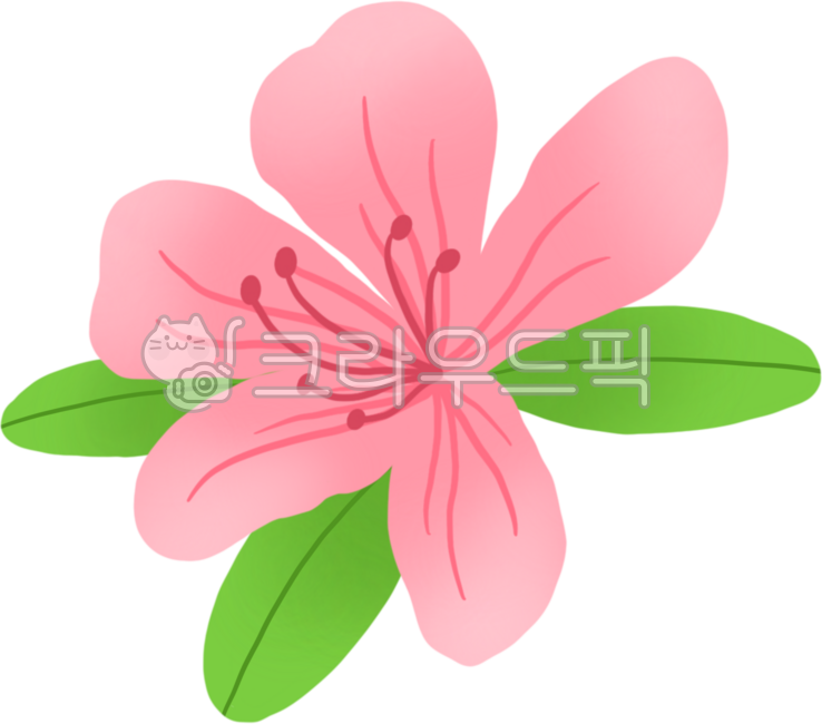 봄,철쭉,진달래,분홍색,진달래꽃,분홍색꽃,철쭉꽃,봄꽃,새학기,꽃밭,정원,공원,자연,식물,봄배경,봄풍경,봄식물,봄환경구성,봄꾸미기,봄장식