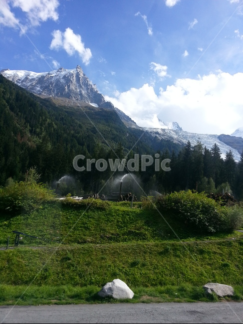스위스,융프라우,산,swiss,jungfrau,mountain,자연,풍경,nature,landscape,해외,외국,세계,foreign,oversea,world,세계자연풍경,해외자연풍경,외국자연풍경,world nature landscape,abies,아비,tree,나무,plant,식물,fir,전나무,outdoors,옥외