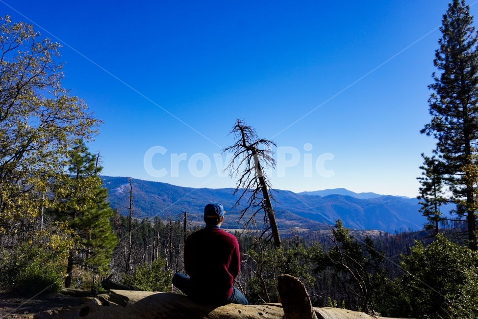 자연,미국,여행,분위기,샌프란시스코,요세미티,Nature,Yosemite,Nationalpark,Selfie,Moody,자연,풍경,nature,landscape,사람,인물,인간,human,person,tree,나무,plant,식물,fir,전나무