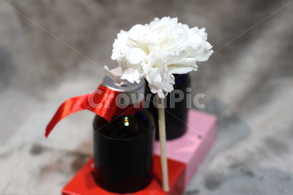 카페인테리어,디퓨져,소품,꽃디퓨져,인테리어소품,flower