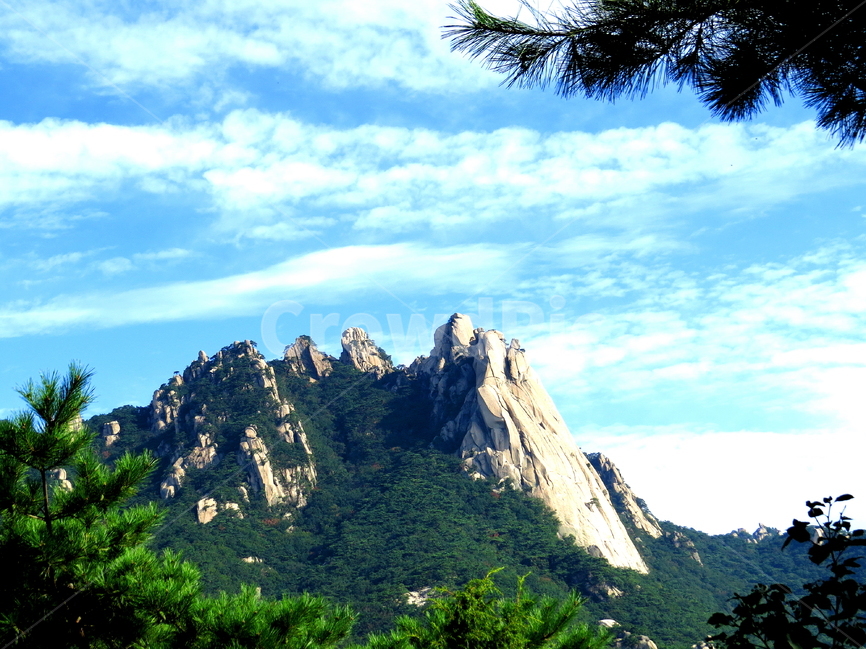 나무,하늘,구름,산,풍경,자연,풍경,nature,landscape,한국자연풍경,한국자연경관,korea nature landscape,outdoors,옥외