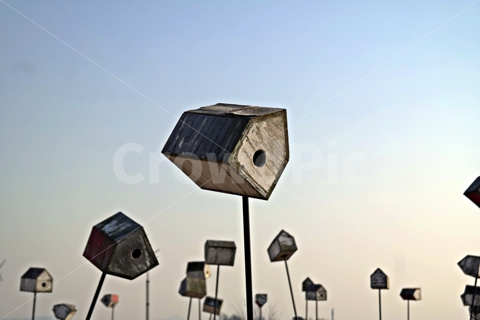 풍경,배경,새집,둥지,보금자리,하늘,오브젝트,오각형,둥우리,주택,마을,공동채,주거,환경,쓸쓸한,적막한,조용한,오래된,갈라진,사물,물건,오브젝트,thing,object,matter