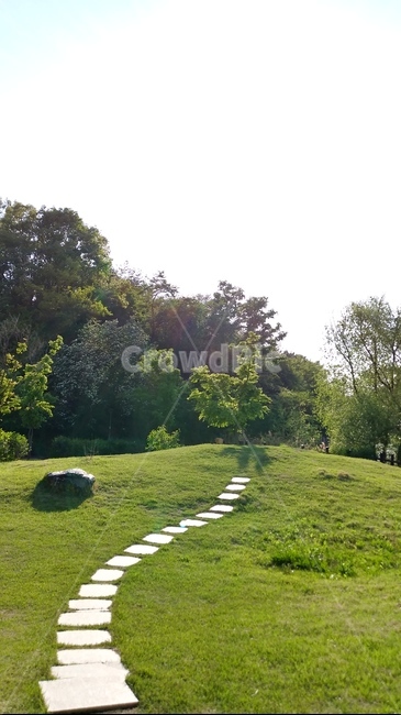 spring,grassland,초원,풍경,봄