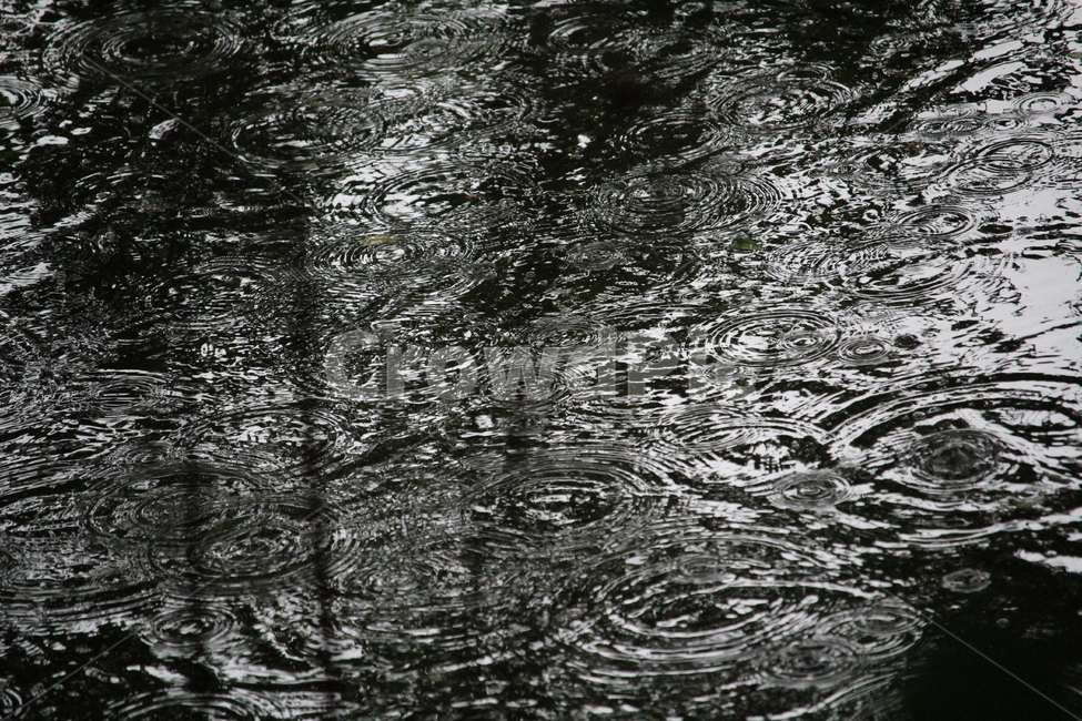 호수,비,보슬비,정적,고요함,비,비오는날,rain,rainy,텍스처,질감,패턴,texture,pattern