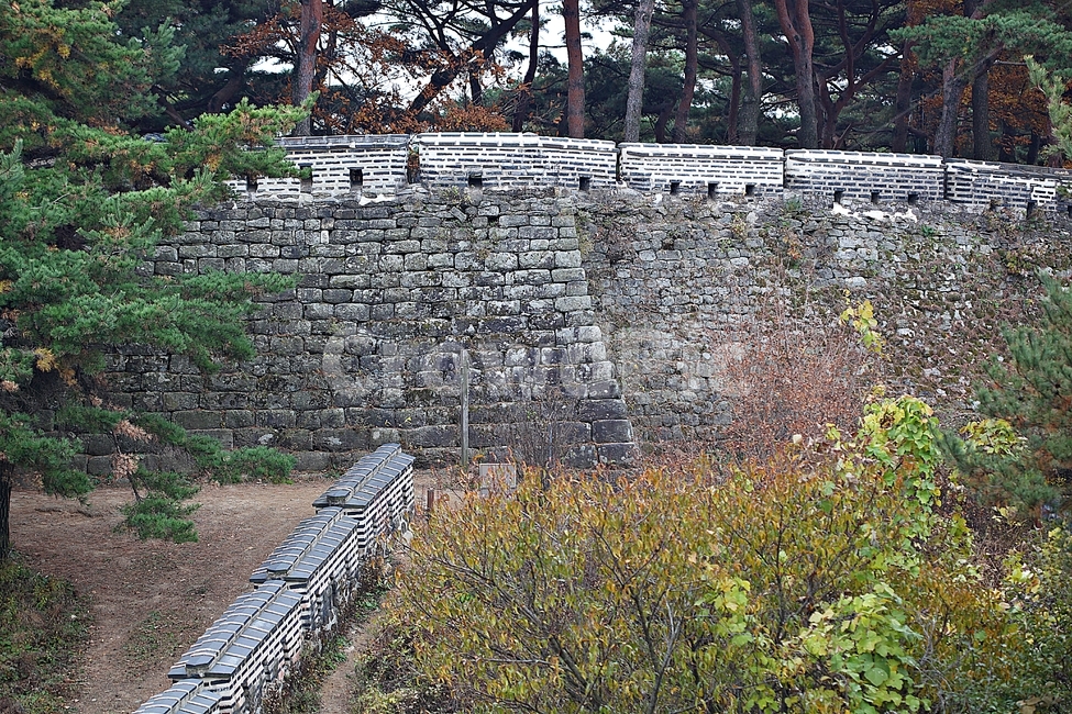 남한산성,성,성곽,단풍,낙엽,길,둘레길,숲,숲길,담,돌담,가을,자연,풍경,벽,울긋불긋,산성,식물,가을,계절,fall,autumn,season