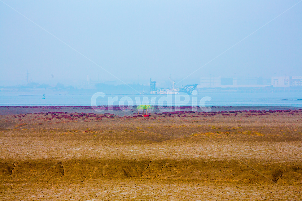 영종도,생존,오두막,환경,개발,간척,갯벌,자연,풍경,nature,landscape,한국자연풍경,한국자연경관,korea nature landscape