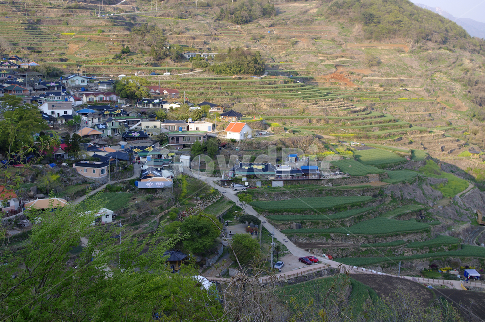 남해,가천마을,다랑이논,다랑이,풍경,나무,논,마을,시골,마을,풍경,landscape,country,rural,town
