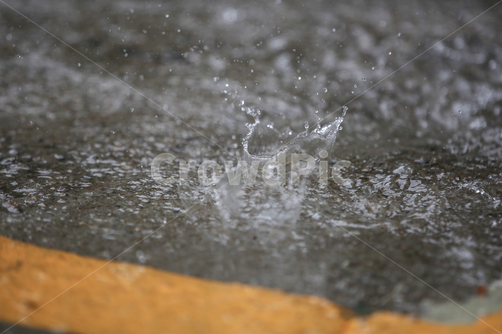 비,물방울,빗방울,rain,raindrop,비,비오는날,rain,rainy