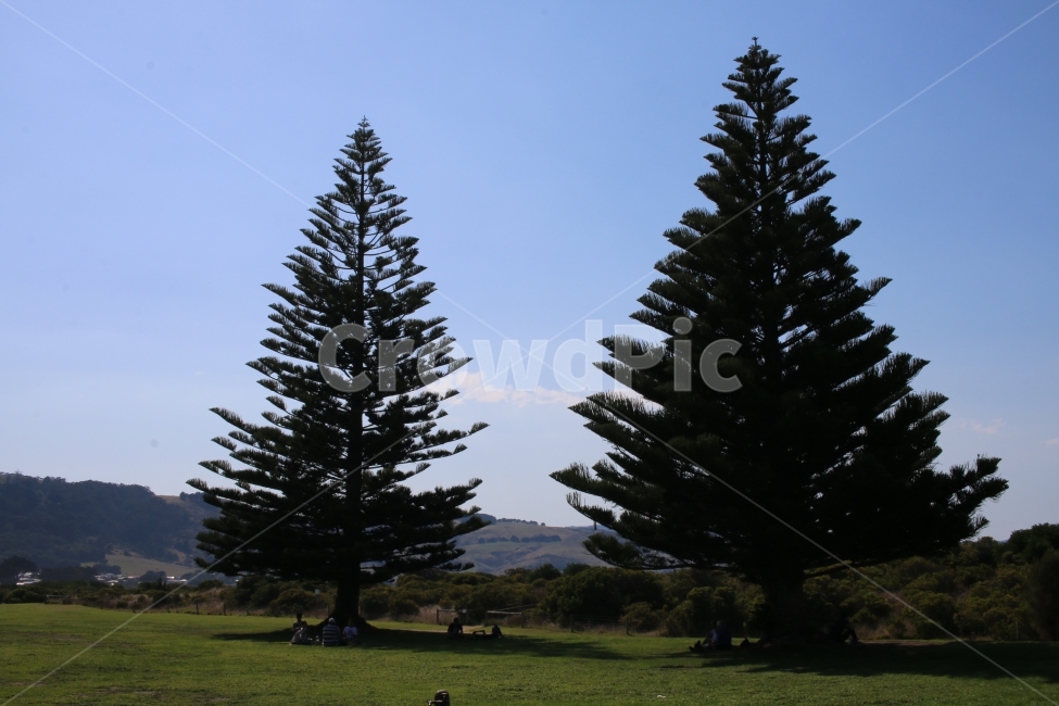나무,하늘,공원,자연,park,외국,여행,nature,식물,자연,plants,nature,나무,trees,wood,사람들,대중,군중,other people,crowd