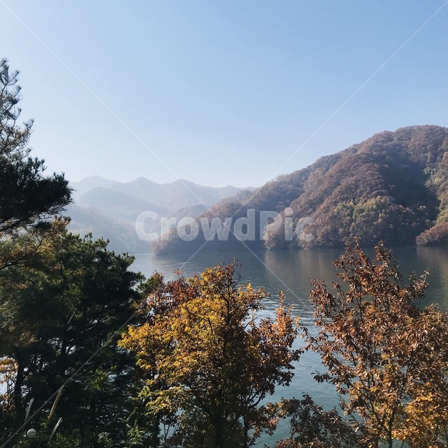 장태산,산,풍경,나무,가을,강,배경,배경화면,숲