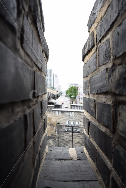 수원화성,화성,돌담,벽돌,사이,합성,건축물,건물외관,exterior,building,structure,architecture,construction,한국전통,한국문화,korean traditional,korean culture