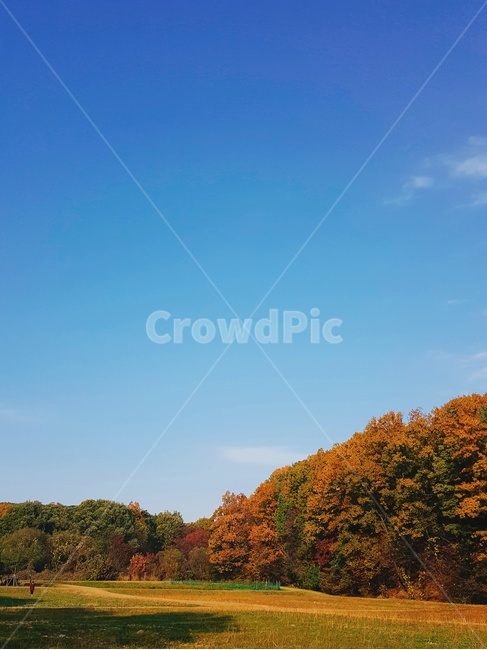 가을,하늘,단풍,나무,아침,가을,계절,fall,autumn,season,자연,풍경,nature,landscape,outdoors,옥외,building,건물,tower,탑,architecture,건축물