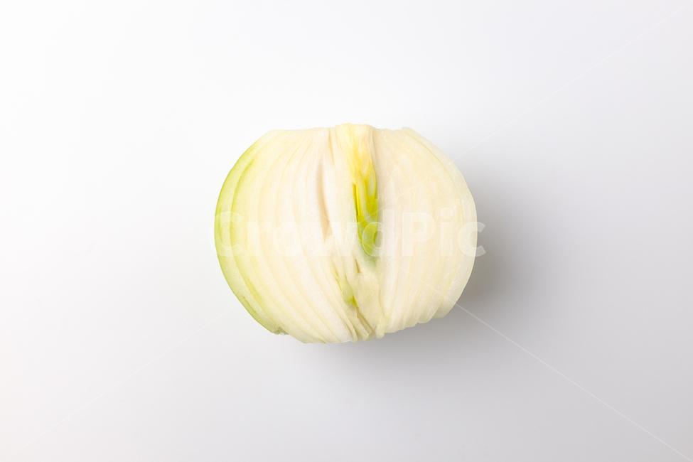 양파,채소,음식,클로즈업,신선함,채식,식생활,재료,날것,식품,자연,구근식물,식물,plant,음식,식재료,요리,food,cook,meal,dishes,food reserves,채소,야채,vegetables