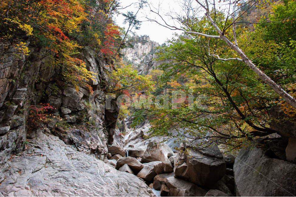 설악산,국립공원,가을,단풍,천불동계곡,가을,계절,fall,autumn,season,자연,풍경,nature,landscape,한국자연풍경,한국자연경관,korea nature landscape,rubble,파편