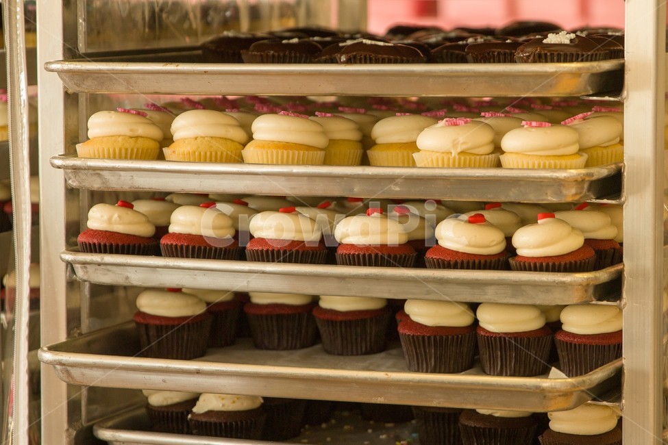 brown,cake,celebration,chocolate,cream,cupcake,delicious,dessert,food,gourmet,pastry,snack,sugar,sweet,tasty,white,음식,디저트,크림,케이크,컵케이크,과자,간식,머핀,치즈,초콜릿,디저트,간식,후식,dessert,snack
