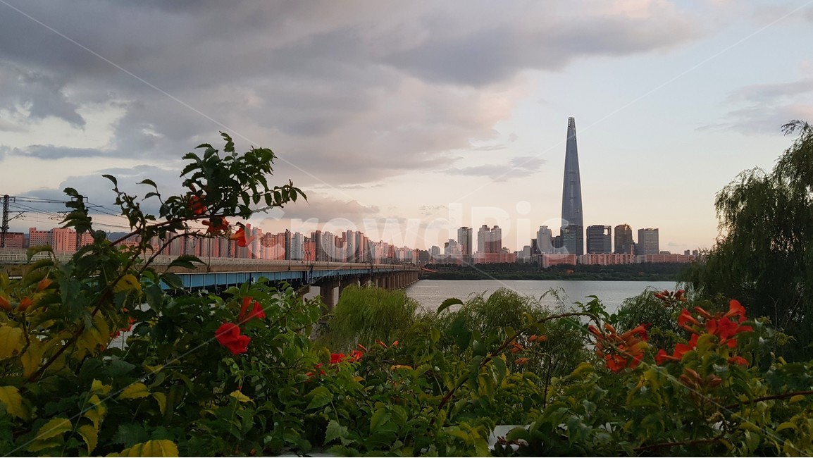 꽃,노을,하늘,구름,sky,tower,탑,spire,첨탑,architecture,건축물,뾰족한탑,building,건물,steeple